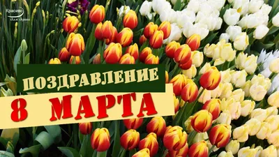 Поздравление с 8 марта из разноцветных ярких летних цветов - Скачайте на  Davno.ru