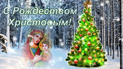 Поздравление с Рождеством Христовым (католическим Рождеством) | MogilevNews  | Новости Могилева и Могилевской области