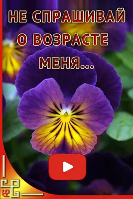 Идеи на тему «Открытки на все случаи жизни.» (98) | открытки, свадебные  поздравления, с днем рождения