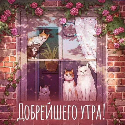 Поздравления на все случаи жизни | Чубарова Любовь Евгеньевна - купить с  доставкой по выгодным ценам в интернет-магазине OZON (595974629)