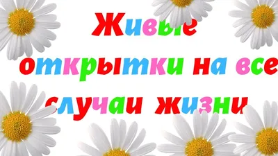 Идеи на тему «Поздравления» (92) | поздравительные открытки, открытки,  праздничные открытки