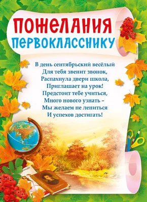 044.108 Грамота А5 Пожелания первокласснику - купить с доставкой по низким  ценам | Интернет-магазин Fkniga.ru