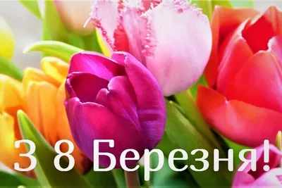Открытки с 8 марта на украинском языке – поздравления с 8 марта – Люкс ФМ