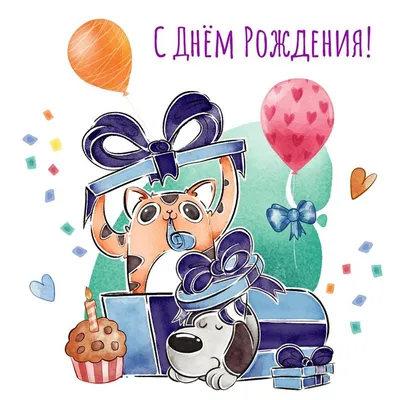 Пёс и кот мальчику: открытки ко дню рождения - инстапик | С днем рождения,  Открытки, Открытки ко дню рождения