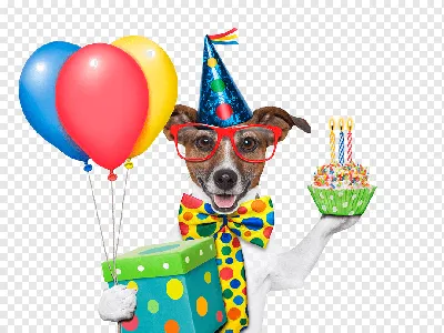 С днем рождения] открытки [прикольные] с собаками. Поздравление на День  рождения скачать.
