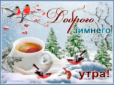 🌺🌞 С добрым утром! | Поздравления, пожелания, открытки с Рождеством! |  ВКонтакте