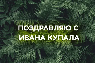 🍀С праздником Ивана Купалы! | Поздравления, пожелания, открытки | ВКонтакте