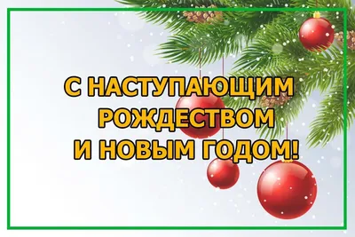 С Новым 2021 годом и Рождеством! Новогоднее поздравление библиотекарям и  читателям от Псковской библиотечной ассоциации - Библиотечный портал