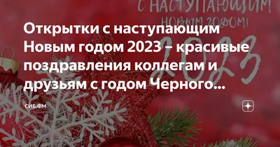 ПОЗДРАВЛЕНИЕ ГЛАВНОГО ВРАЧА С НАСТУПАЮЩИМ НОВЫМ ГОДОМ - ГБУЗ ЯНАО