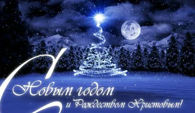 Поздравления с наступающим Новым 2024 годом и Рождеством Христовым! |  Ветеринарная клиника в Саранске