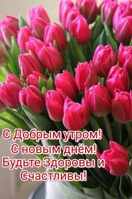 🌺🌞 С добрым утром! | Поздравления, пожелания, открытки | ВКонтакте