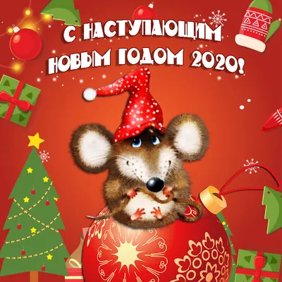 Поздравления в стихах с Новым годом Крысы - С Новым годом 2024 - Открытки  поздравления №5104