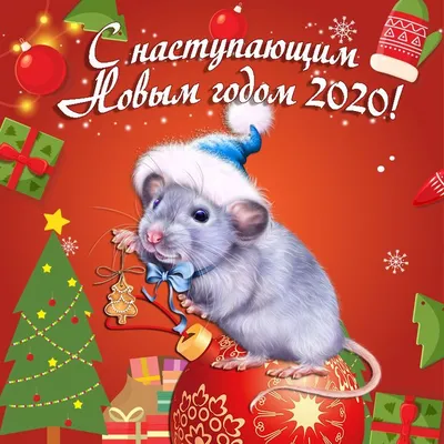 Поздравления с Новым 2020 годом - картинки и видео поздравления - Апостроф
