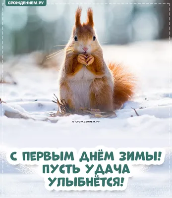 Прикольная открытка с Первым Днём Зимы, с белочкой • Аудио от Путина,  голосовые, музыкальные