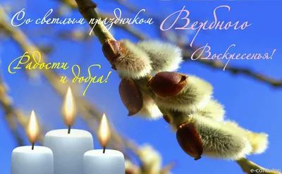 Вербное воскресенье 2023: новые открытки и поздравления с праздником -  sib.fm