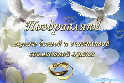 поздравления с серебряной свадьбой прикольные｜Поиск в TikTok
