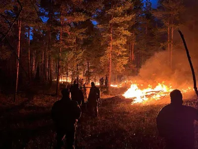 Карта диких пожаров: Лесной пожар в Далшангане