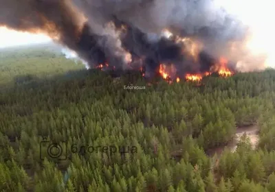 От лесного пожара в Казахстане на границе с Россией погибли три человека |  ИА Красная Весна