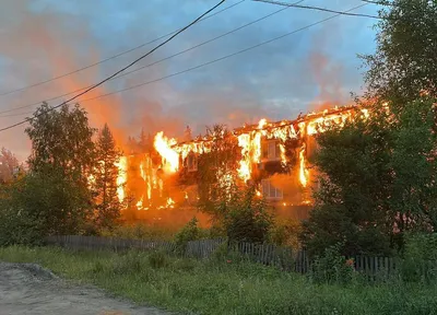 Площадь лесного пожара в Геленджике увеличилась до 15 гектаров - РИА  Новости, 30.08.2023