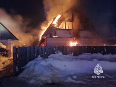 Лесной пожар — Википедия