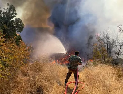 Власти готовятся к наихудшему сценарию из-за лесного пожара в Турции -  Газета.Ru | Новости