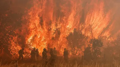 В МЧС оценили урон от большого пожара на полях в Шабране
