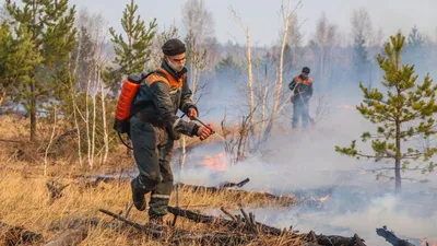 Ростовчанин погиб во время пожара | ROSTOF.RU