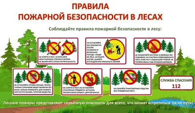 Пожарная безопасность в лесах - МКУ Гражданская защита ЗГО