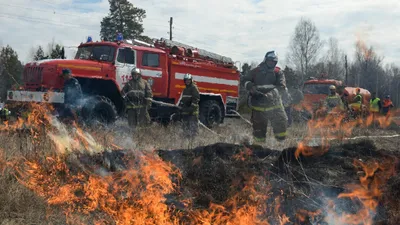 В Приморье запретили разводить в лесах костры - KP.RU