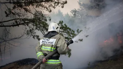 Истории пожарных из Подольска: «В окне стоит девочка, а за ней пламя» -  Люди - РИАМО в Подольске