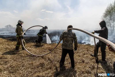 Лесные пожары в России: эксперты назвали их причины. Страшные видео | 360°
