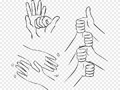 Дай руку, брат!»: Крепость рукопожатия рассказывает многое о здоровье  человека