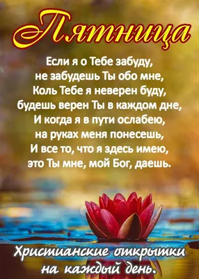 Пожелания хорошего дня в картинках, своими словами, в стихах, в смс и христианские  пожелания доброго дня — Украина