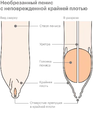 Блефаропластика в Германии - 21 клиника, цены процедур, отзывы | Clinics on  Call