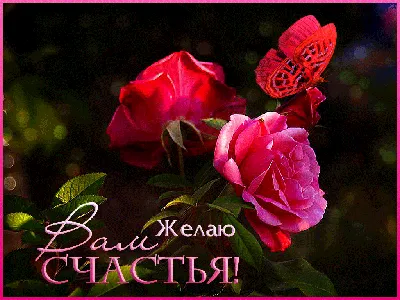 Желаю счастья, везенья, удачи, особенно в пятницу! — Скачайте на Davno.ru