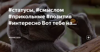 Доброе утро друзья, позитива на весь день вам😉 | Стоматология \"ВиДент\"  Тугулым | ВКонтакте