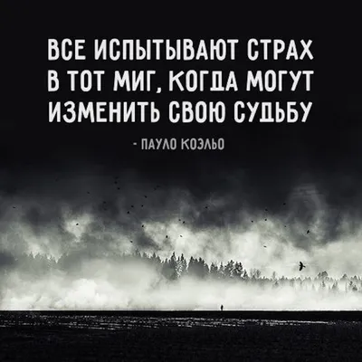 Позитивные высказывания для поднятия настроения со смыслом в картинках (44  фото) » Юмор, позитив и много смешных картинок