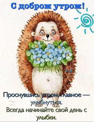 ДОБРОЕ УТРО! 🦋☀💐🦔🌿☀🦋 ПОЗИТИВЧИК | Доброе утро, Поздравительные  открытки, Открытки