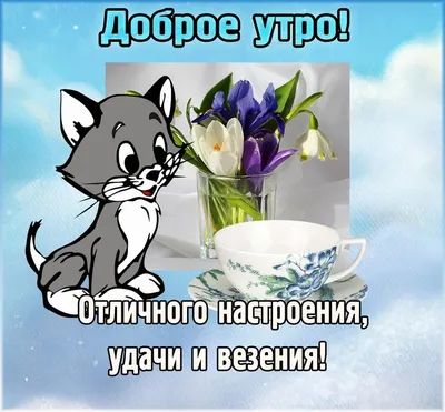♥♥♥ ПОЗИТИВ-позитивчик для ДРУЗЕЙ ღღღ | ВКонтакте | Доброе утро, Милые  открытки, Смешные смайлики