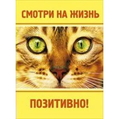 Мысли вдохновляющей цитаты позитивные. Позитивная жизнь. На белом  Иллюстрация штока - иллюстрации насчитывающей документ, мотивационно:  170536856