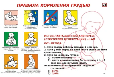 Развеян миф о пользе позы березки для зачатия: Отношения: Забота о себе:  Lenta.ru