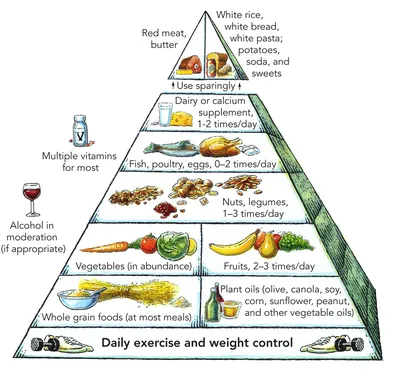 Диета для похудения: правильное питание для похудения, меню на каждый день,  как скинуть вес | Блог Spirit. Fitness