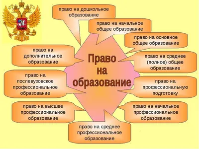 Права ребенка зеленый - купить недорого | Ход Конём