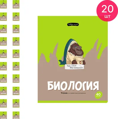 Тетрадь BG Правда жизни Геометрия, 40л ТП5ск40 12199 – купить онлайн,  каталог товаров с ценами интернет-магазина Лента | Москва, Санкт-Петербург,  Россия