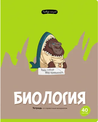 Тетрадь предметная 40л. BG \"Правда жизни\" - Физика купить по цене 37 руб. в  Москве. Бесплатная доставка по России. Артикул ТП5ск40 12205