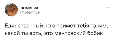 Горькая правда жизни (Айдар Замальдинов) / Читать онлайн