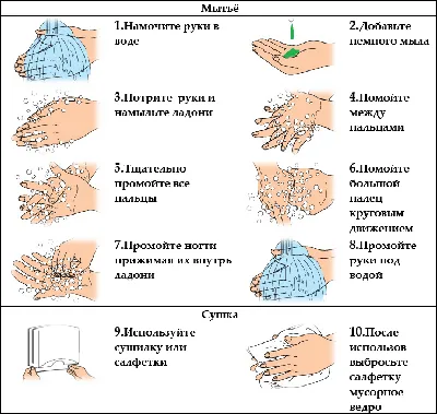 Основные правила личной гигиены для школьников – «Интернет-кабинет  здорового ребенка»