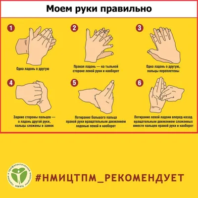 Правила личной гигиены для профилактики педикулеза © СШ 26 г.Минска