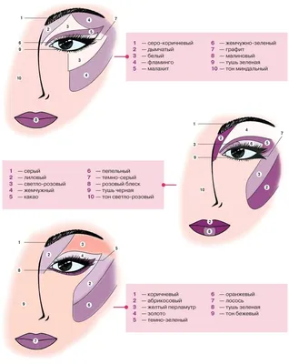 Техника нанесения макияжа глаз, лица и губ