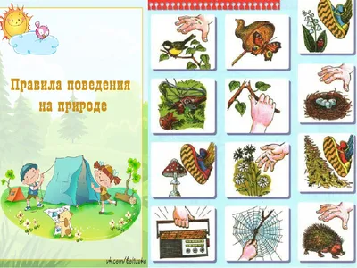 Купить Таблички Правила поведения на природе 250*250 мм 📄 с доставкой по  Беларуси | интернет-магазин СтендыИнфо.РФ